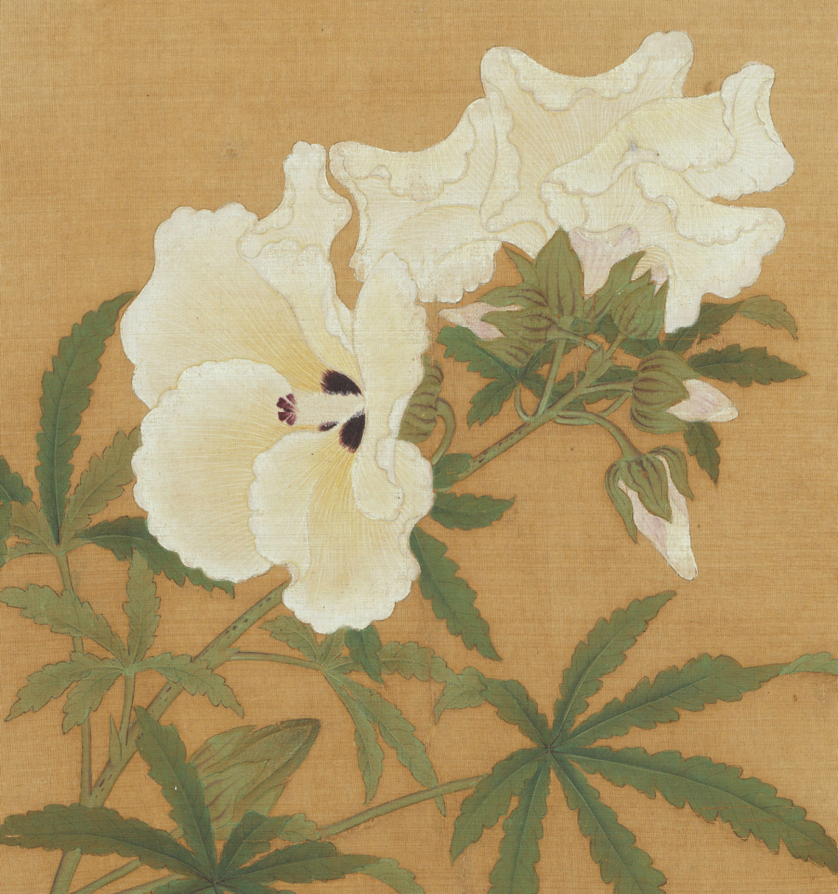 宋 李士忠 | 秋葵图 荐赏 写秋葵一枝,工笔勾勒填彩,花瓣用粉细勾,叶