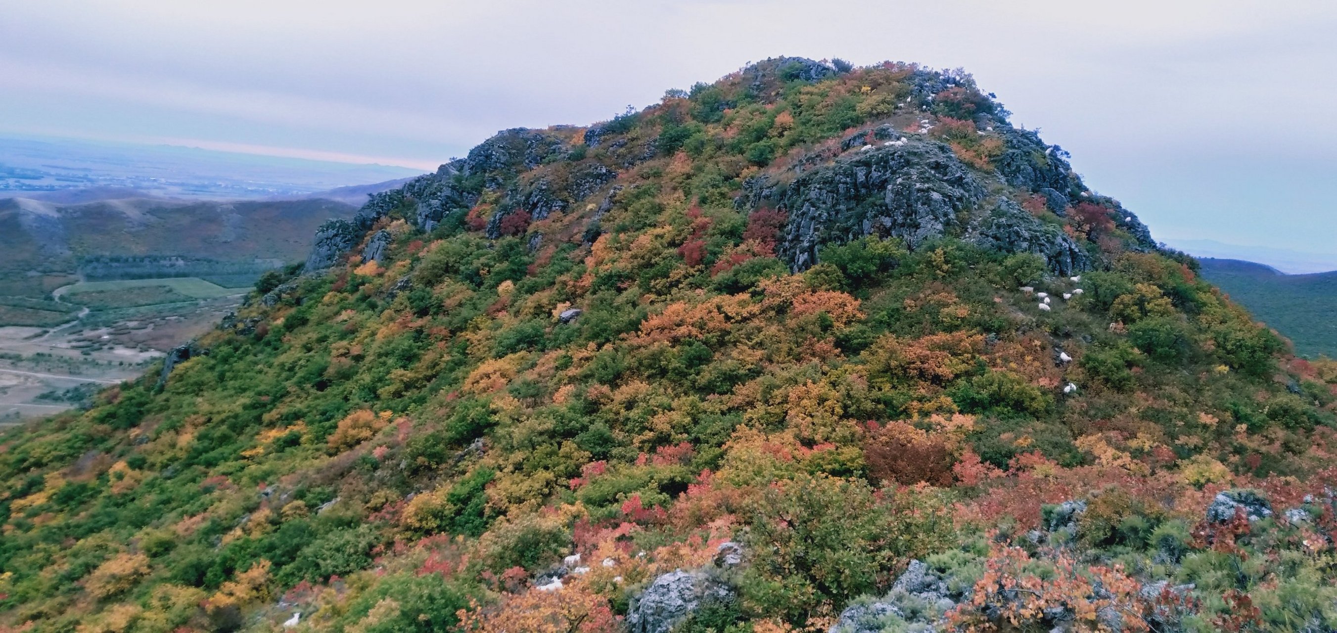 内蒙古自治区敖牛山