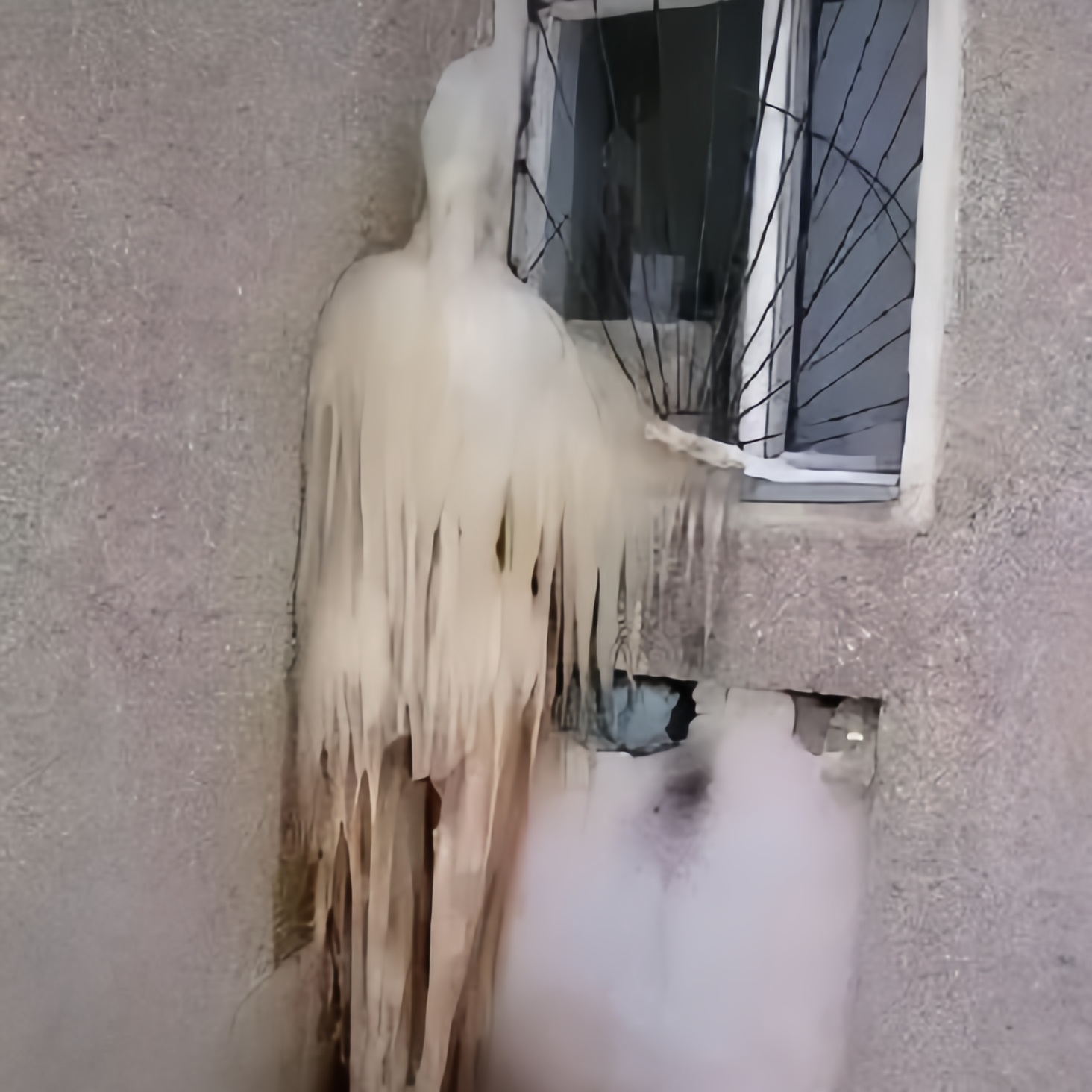 那一年冬季,隔壁领居家的屋檐下竖立着因大自然寒冷的气候形成的冰柱