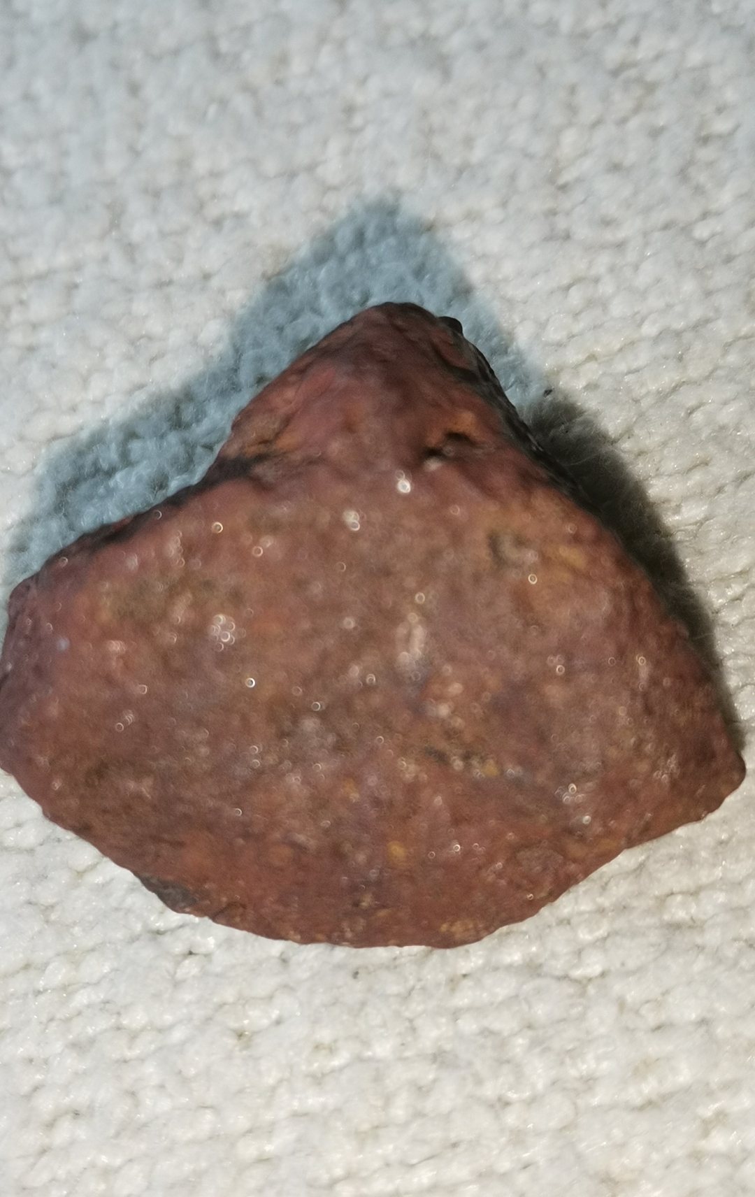 红伊丁小陨石有磁性