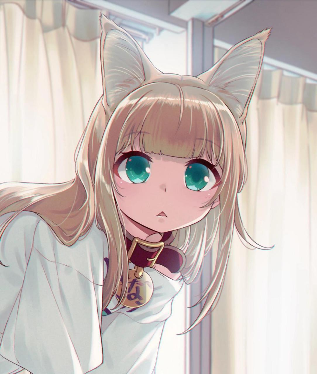 40原老师家的小猫咪 画师:40原#二次元