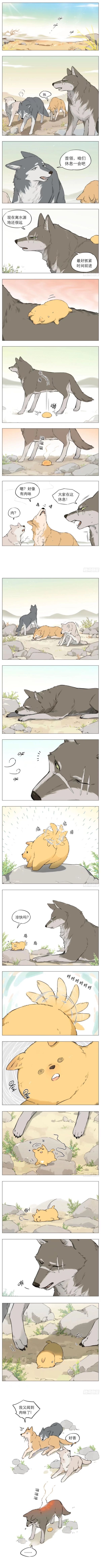 狼王捡到只小奶狗#暖心小漫画# 作者:麻尾[心]