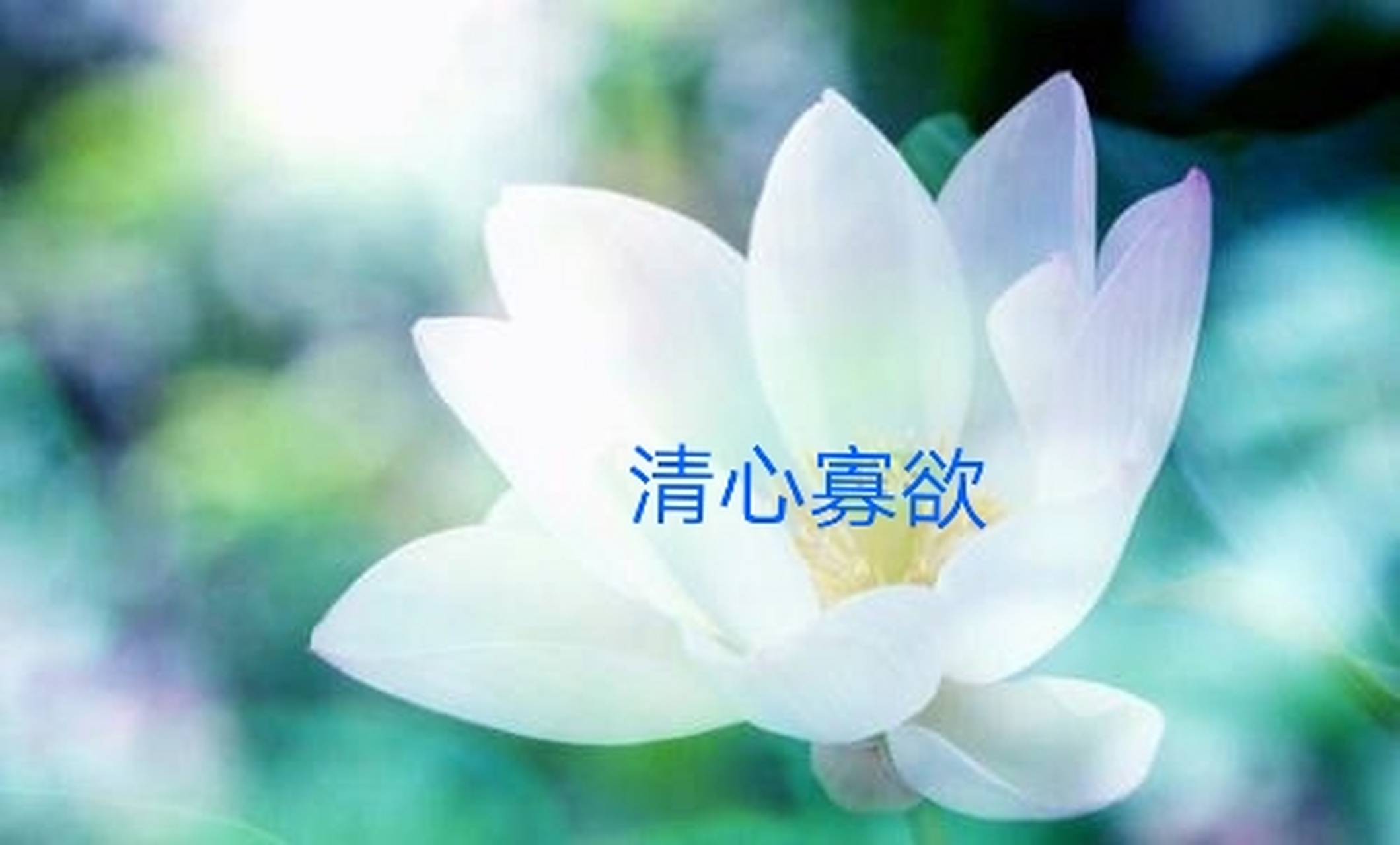 上:清心寡欲.下?请.