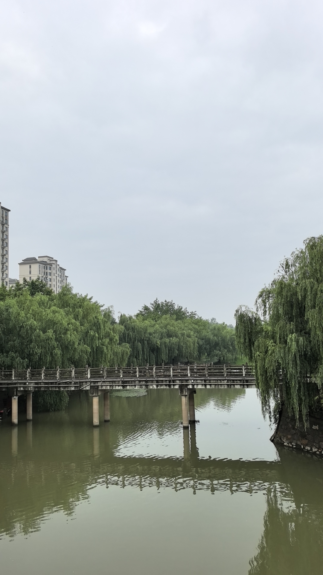 自是寻恼天知道, 狂风落尽故人晓. 纵教霜雪染双鬓, 此心犹共月轮皎