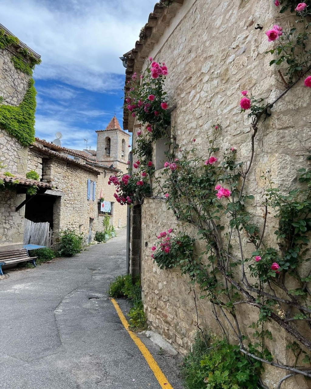 普罗旺斯的浪漫夏日