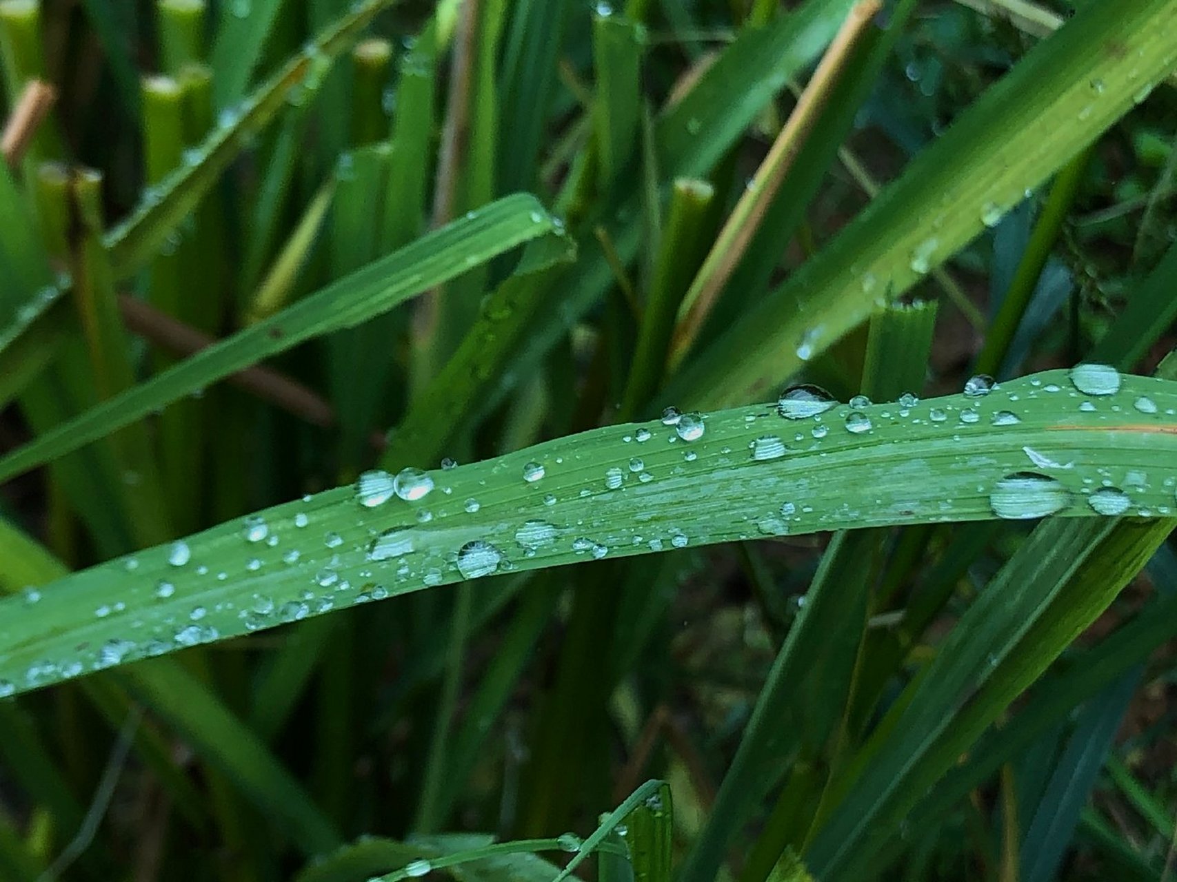 下雨的清晨