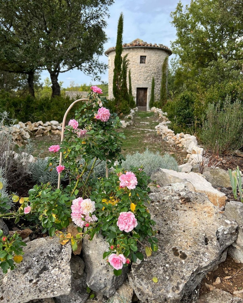 普罗旺斯的浪漫夏日