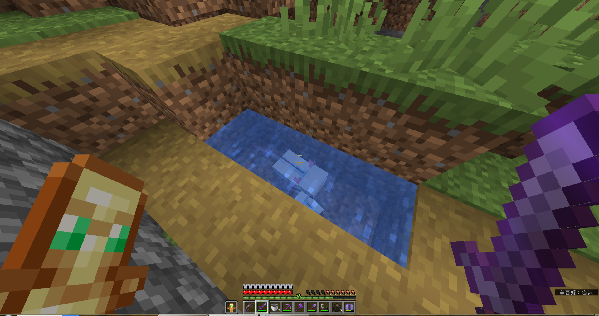 蓝色美西螈1/2000的概率我怀疑是假的[你懂的]  在一个繁茂洞穴里,一