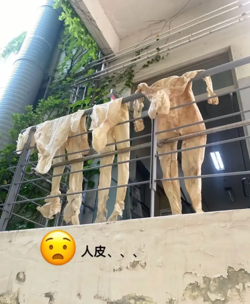 居民楼上惊现人皮!   今天我要给大家讲一个超级恐怖的事!