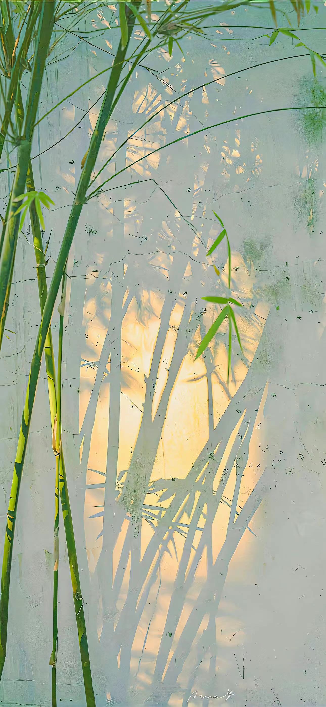 阳光洒在竹叶上,清新脱俗,是我滴手机壁纸!