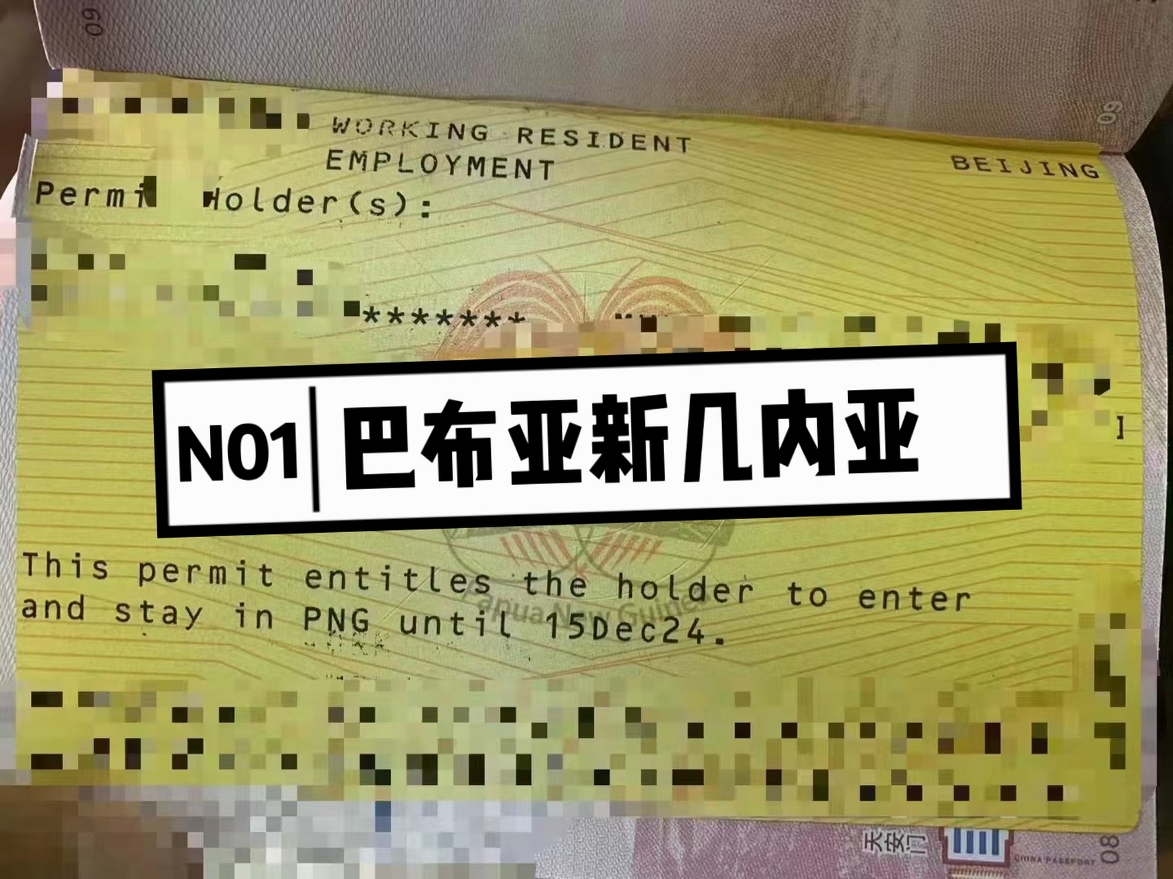 巴布亚新几内亚签证格鲁吉亚签证长这样↓#巴布亚新几内亚# #格鲁吉亚