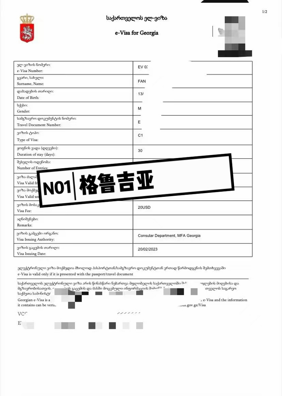 巴布亚新几内亚签证格鲁吉亚签证长这样↓#巴布亚新几内亚# #格鲁吉亚