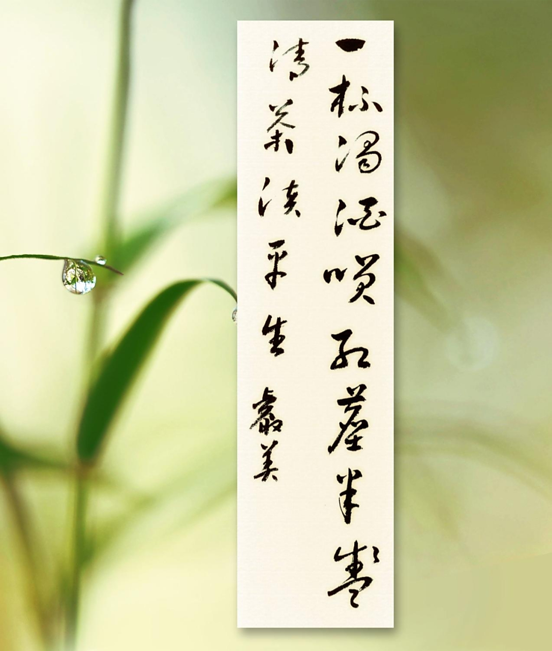 一杯浊酒笑红尘 半盏清茶谈平生