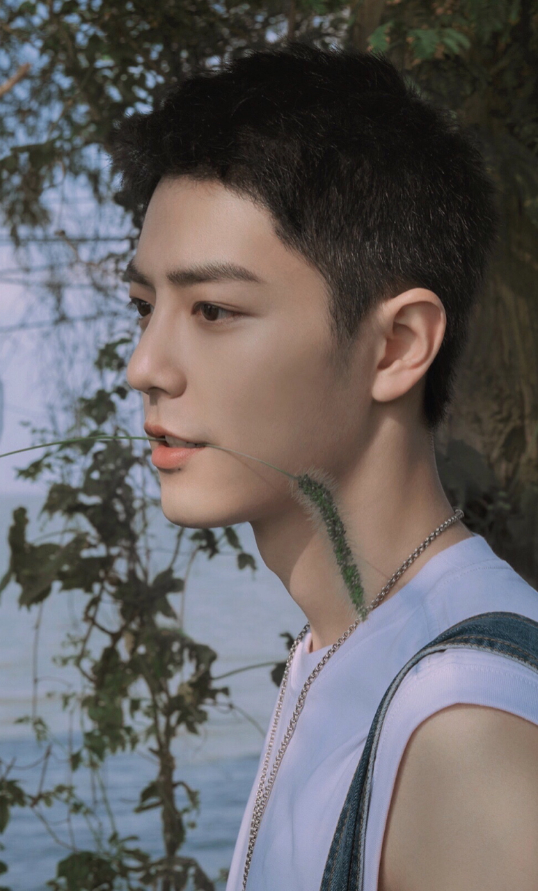 肖战# 九月九,饮菊酒,人共菊花醉重阳.