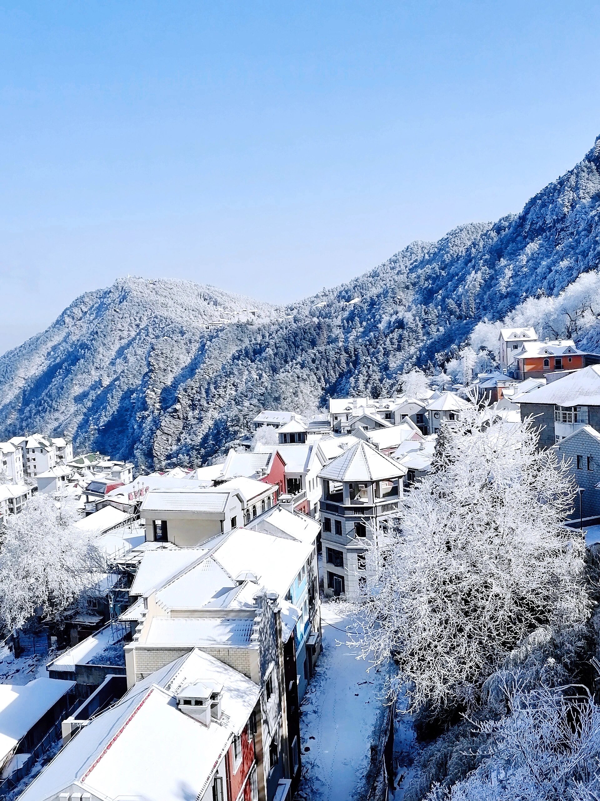 江西雪景最美的地方图片