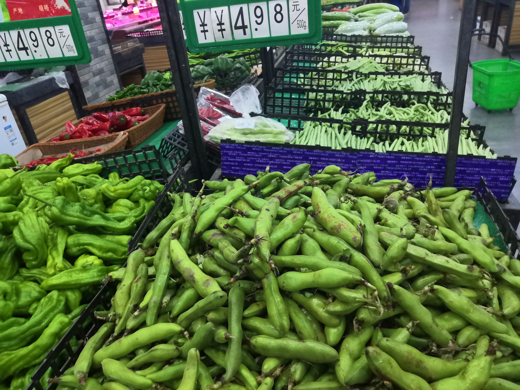 毛豆和蚕豆的图片区别图片