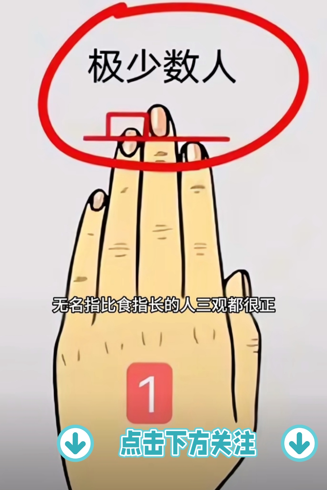 无名指比食指长的人,三观都很正