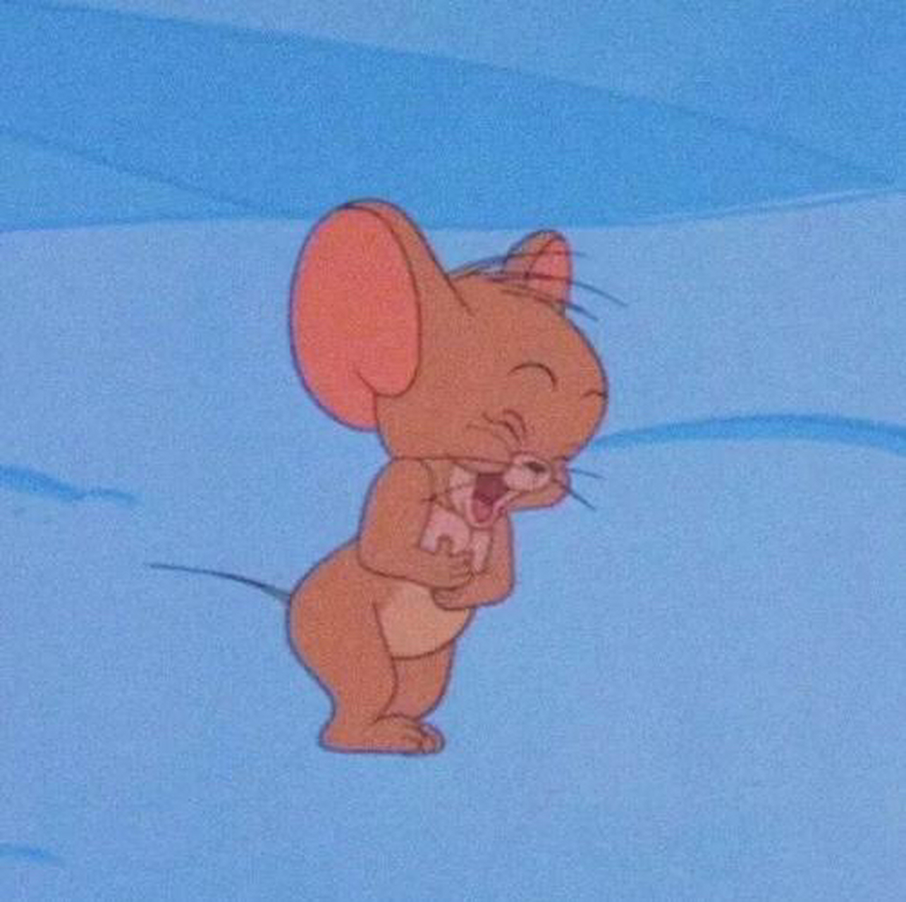 猫和老鼠 看把杰瑞笑的