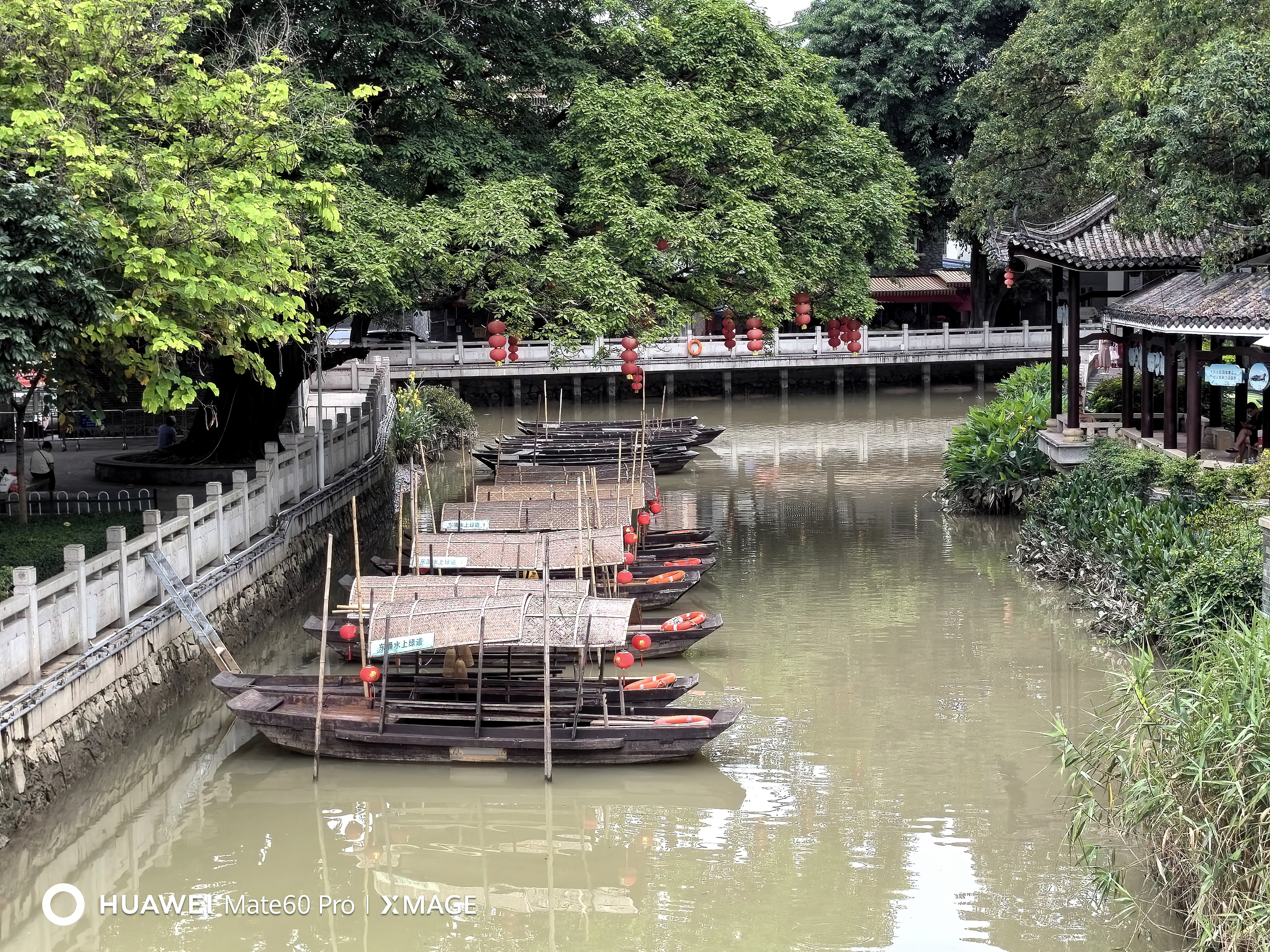 广东东涌图片