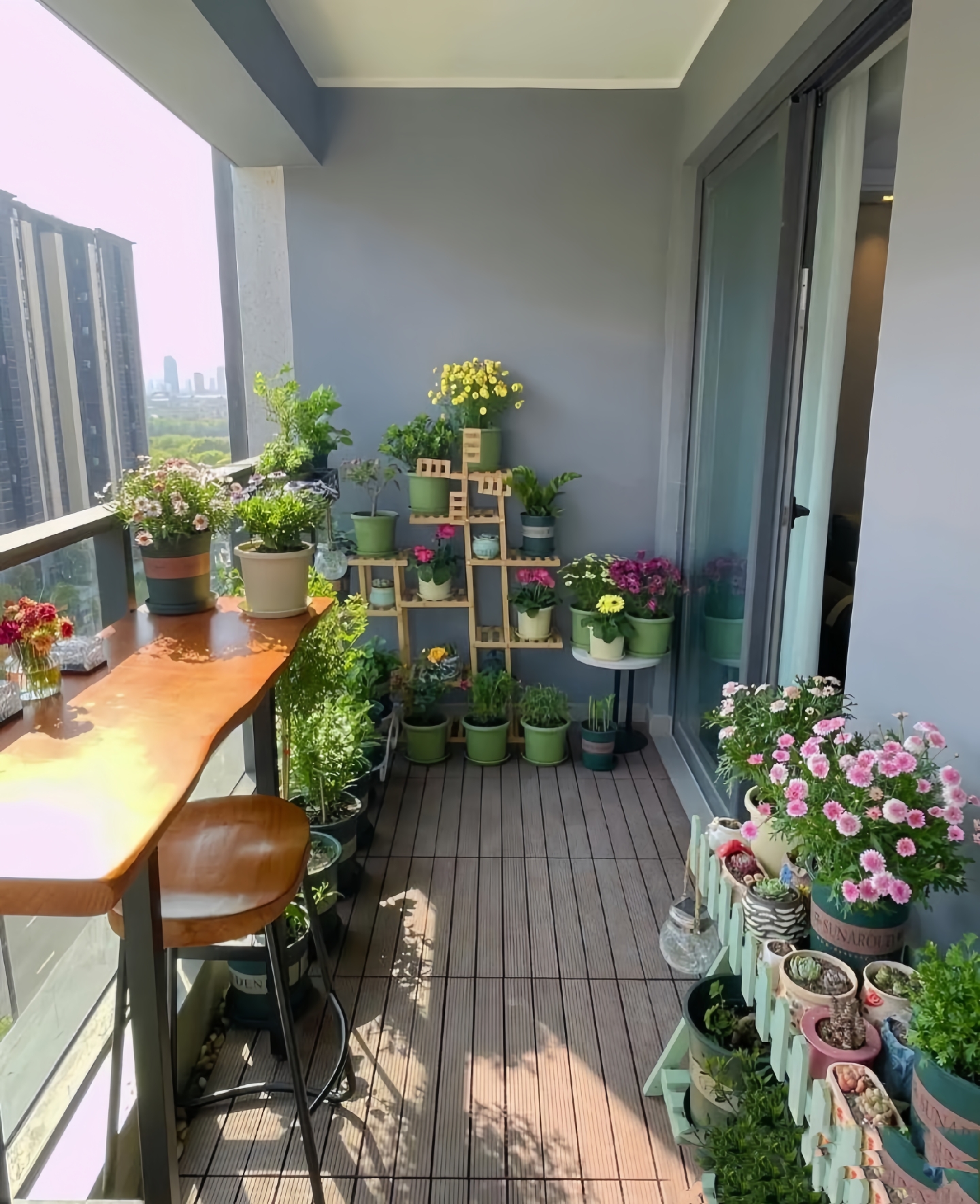 我家的阳台上布满了五颜六色的鲜花,显得整洁又漂亮,放眼望去就像一个