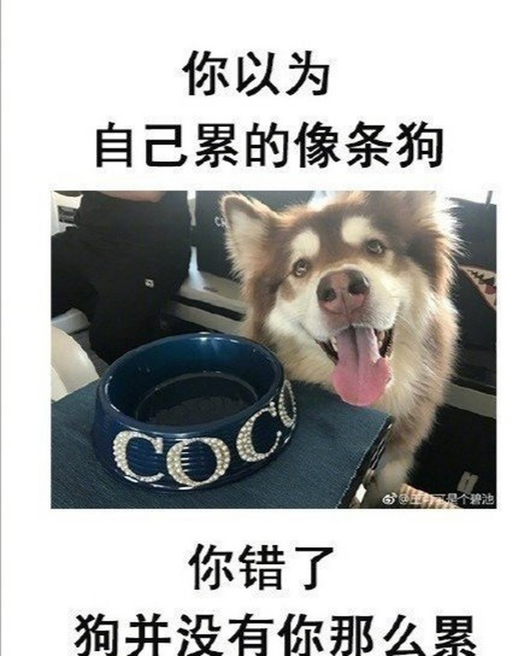 当代成年人的三大错觉,看完之后感觉太扎心了!