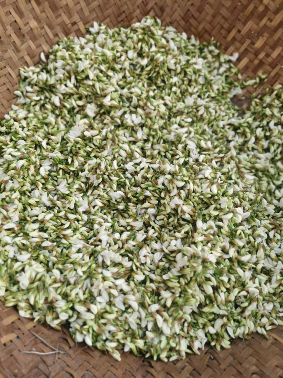 好几年没有吃上"槐花馍馍"了,今年终于吃上了!