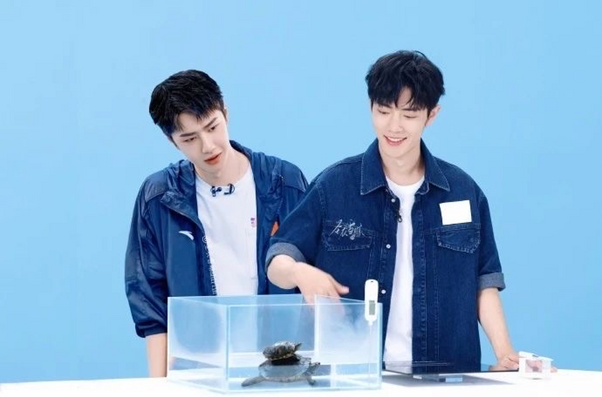 王一博和肖战手牵手说:我们的花式秀恩爱,你酸了吗?