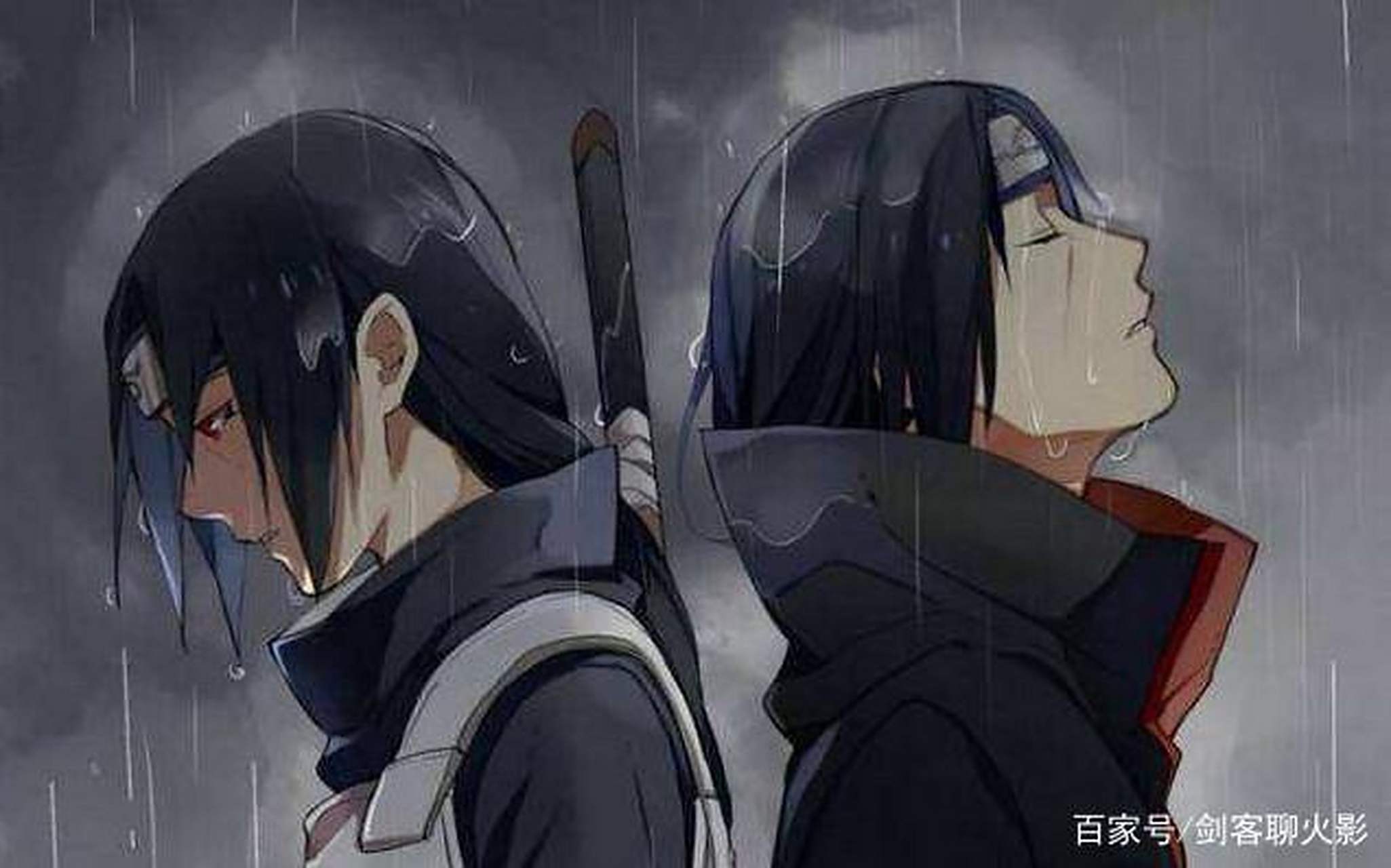 我鼬神真帅
