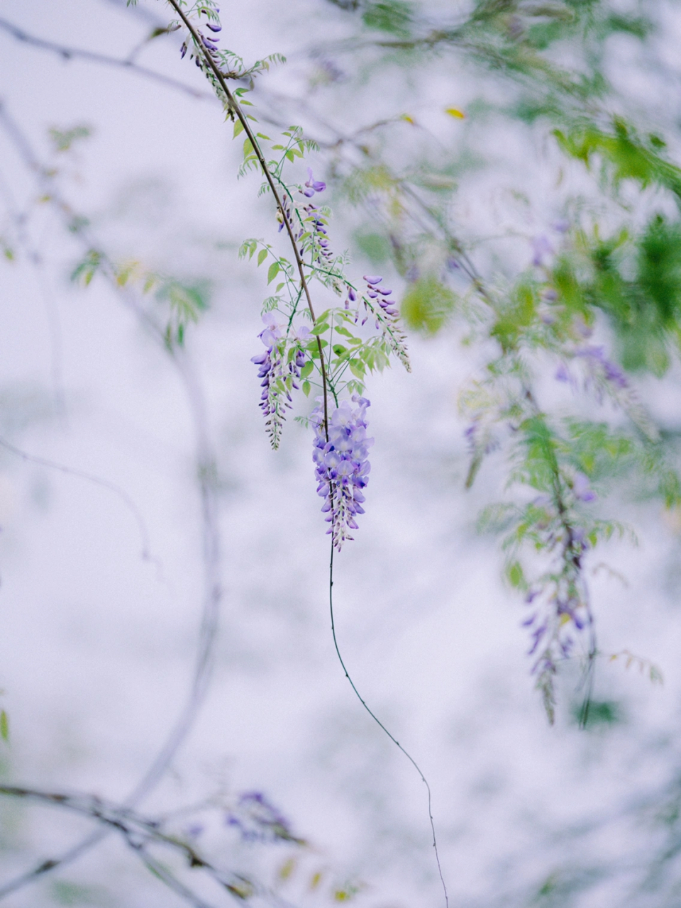 《半山文集》 67