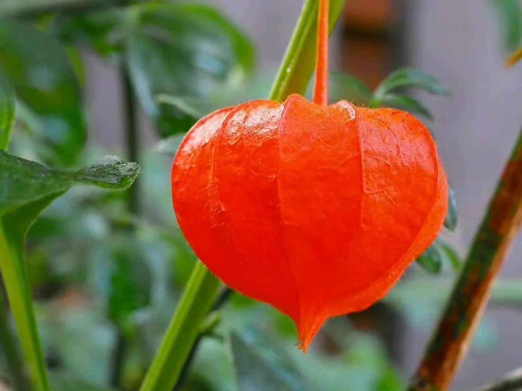 莫言老师曾经说过:"别人怎么对待你,并不会改变你的