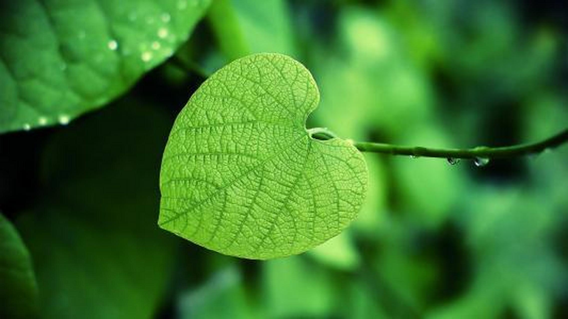 生命中的贵人,不一定是好朋友,而是具有正能量积极阳光的人,他也许只