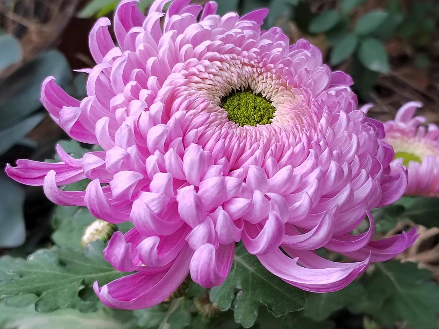 最好的年华在当下,激昂歌唱.