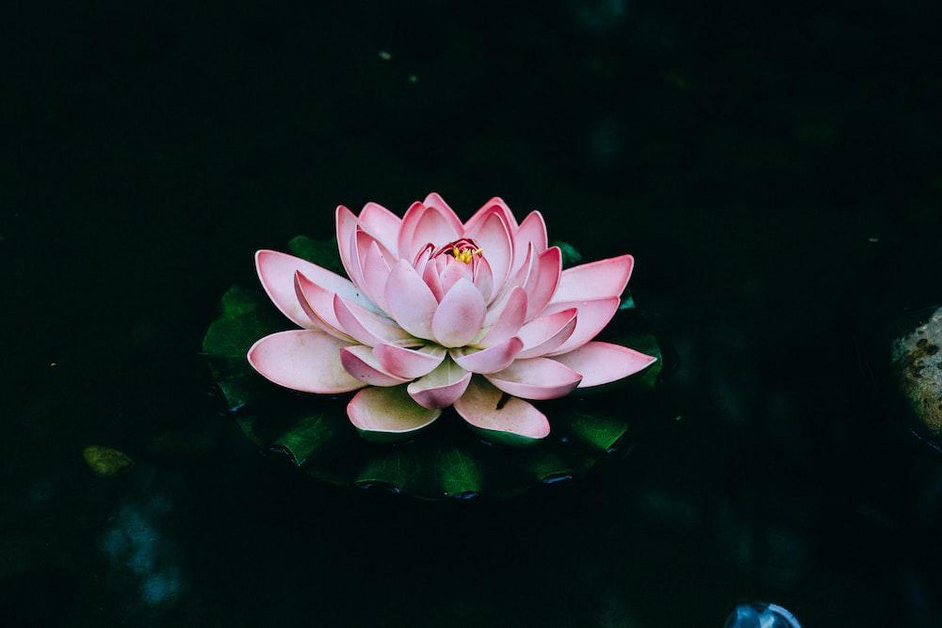 人生最大的清醒: 悲时不言,喜时不语,怒时不争.