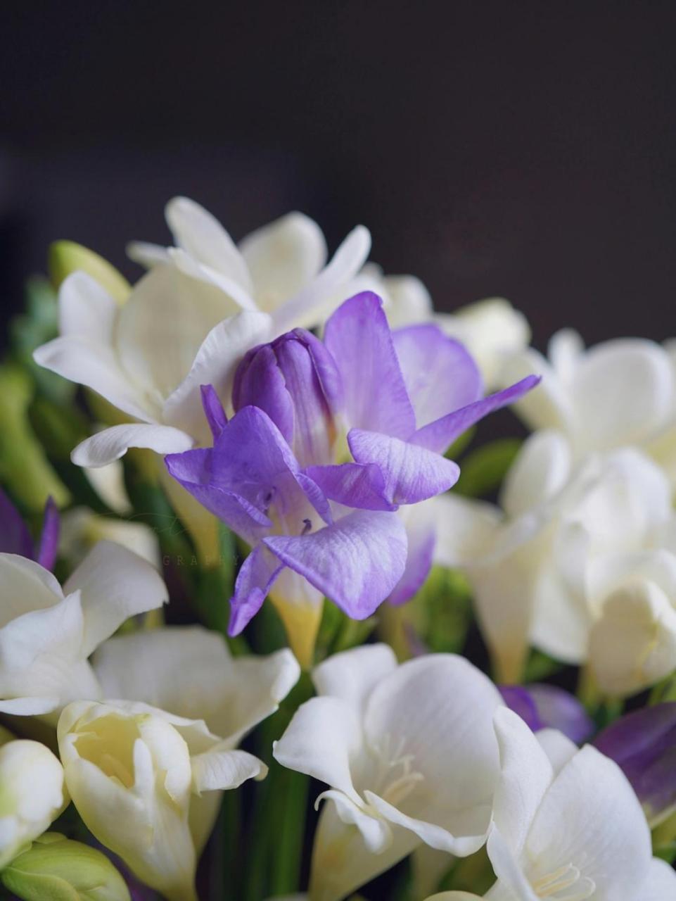 【 守心 】  人生漫漫,我们无法预知未来,但可以守