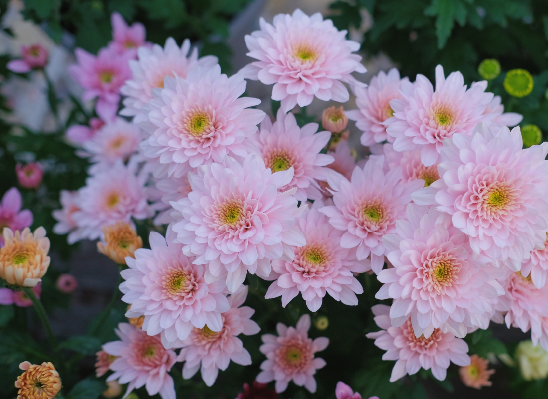 所以啊,修炼自己,比到处逢迎别人重要的多.