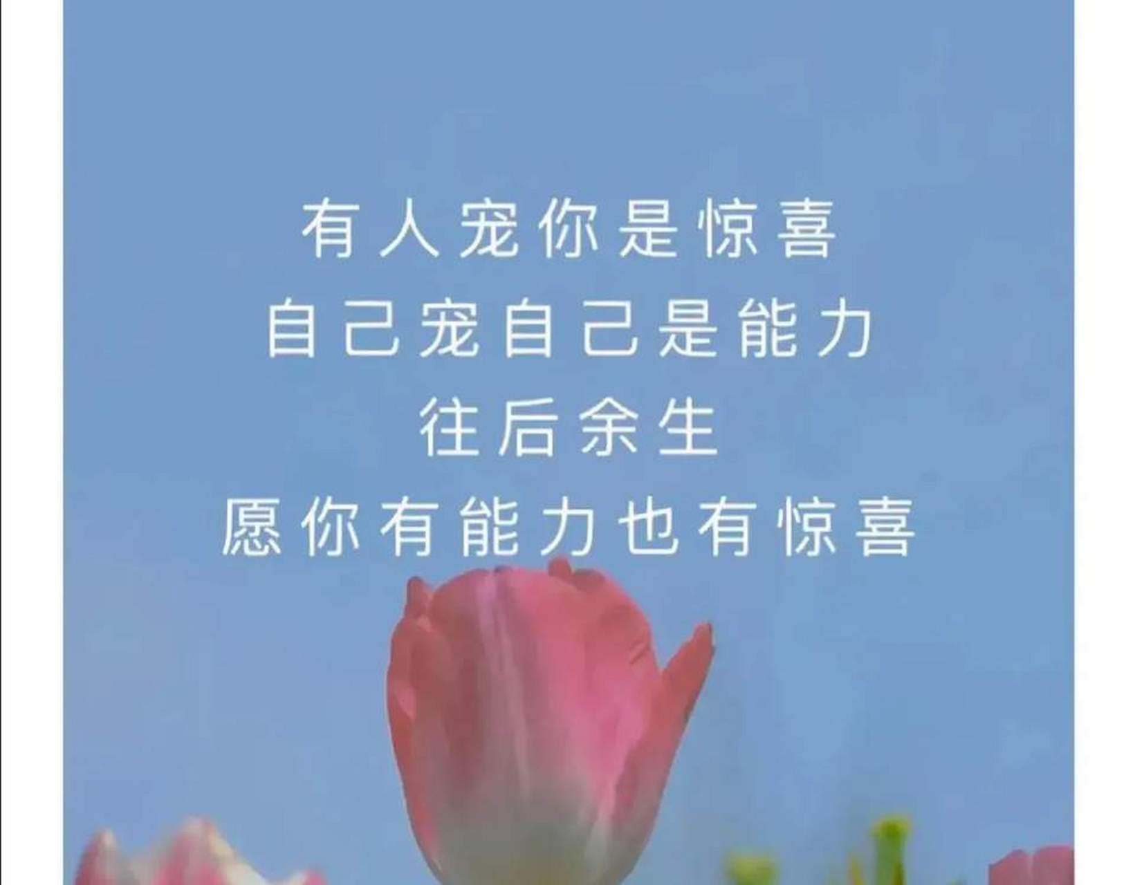 有人宠你是惊喜,自己宠自己是能力;往后余生,愿你有能力也有惊喜!