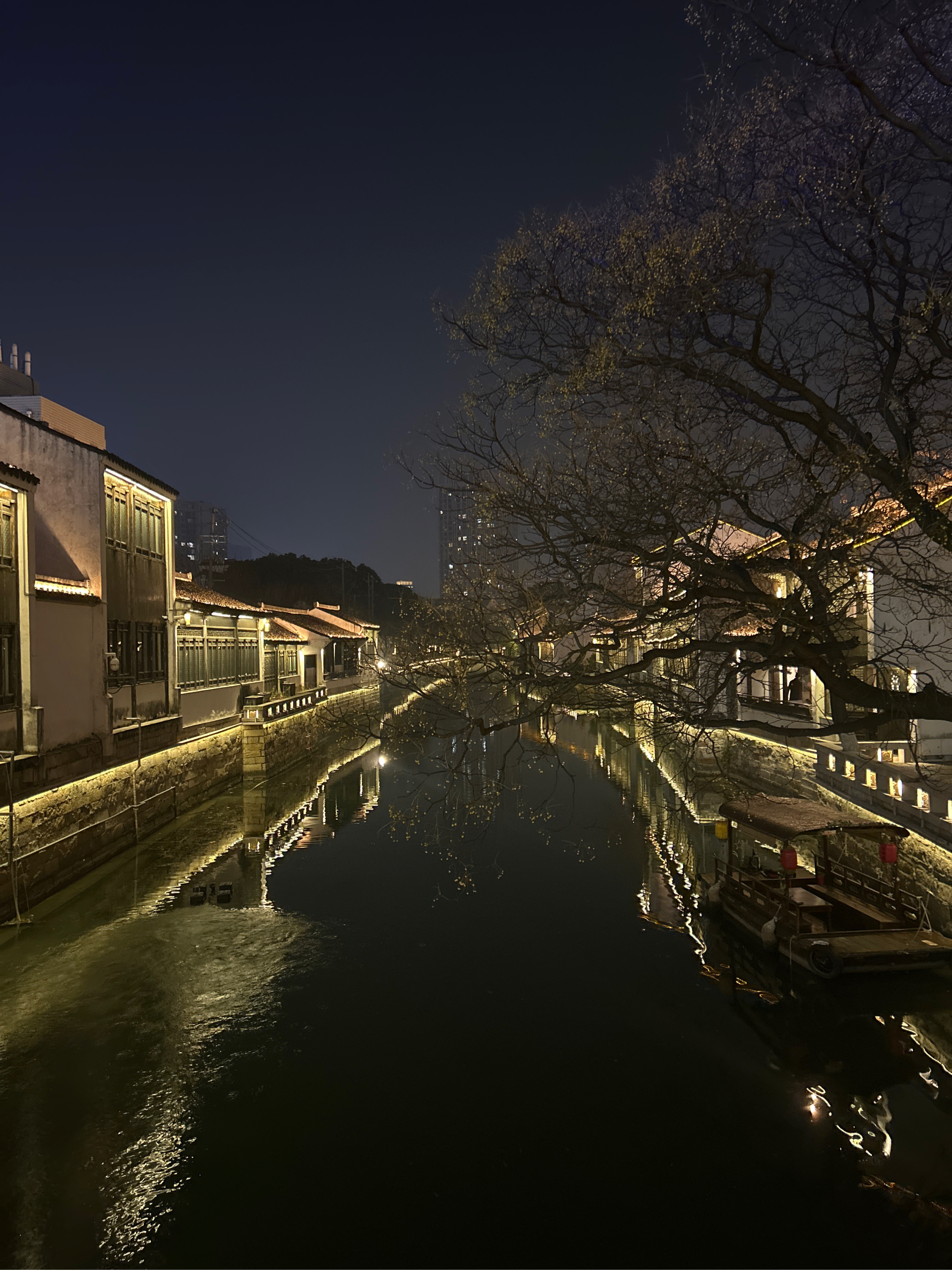 青果巷夜景图片