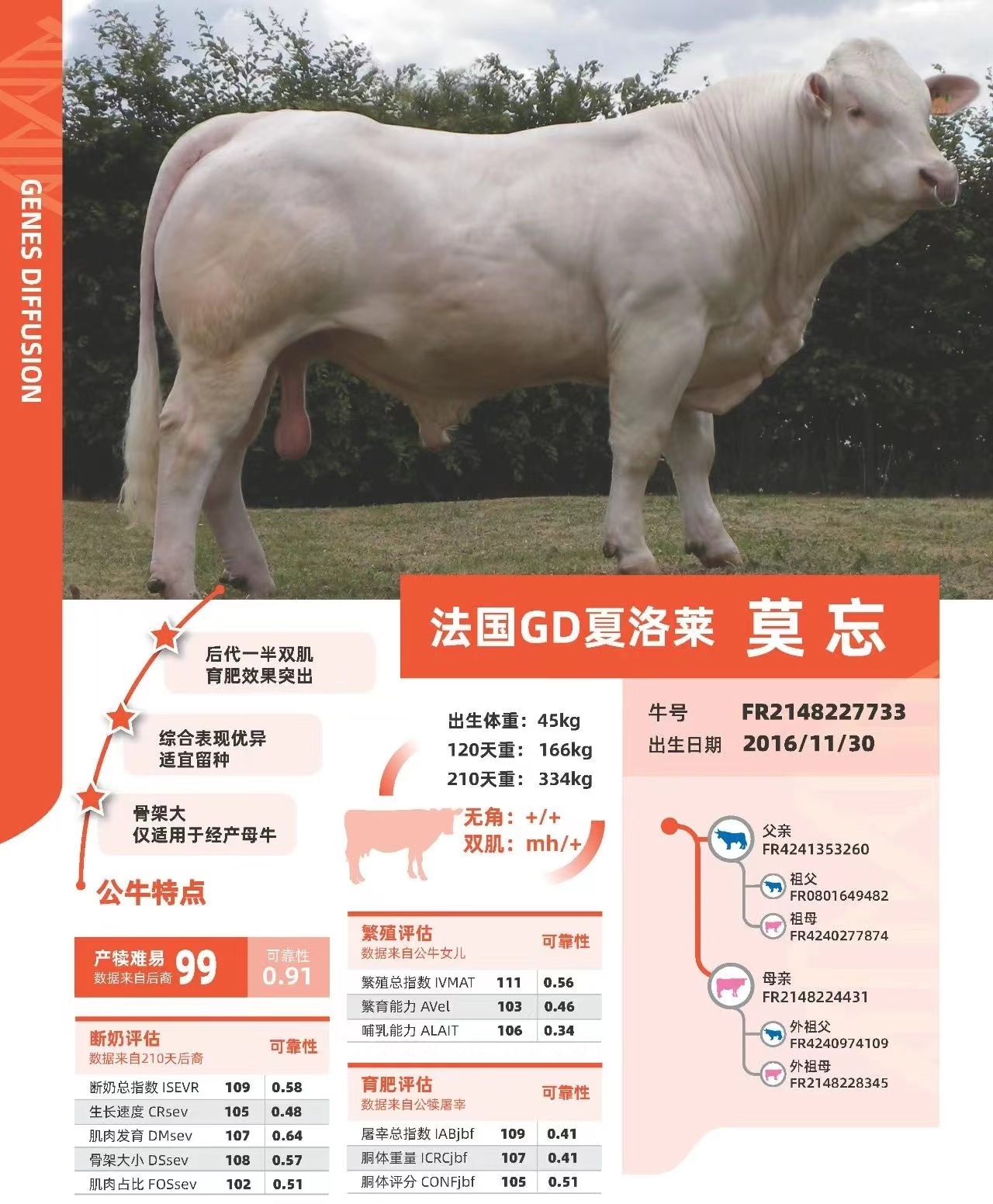 洛阳市洛瑞牧业有限公司性控冻精进口冻精种公牛