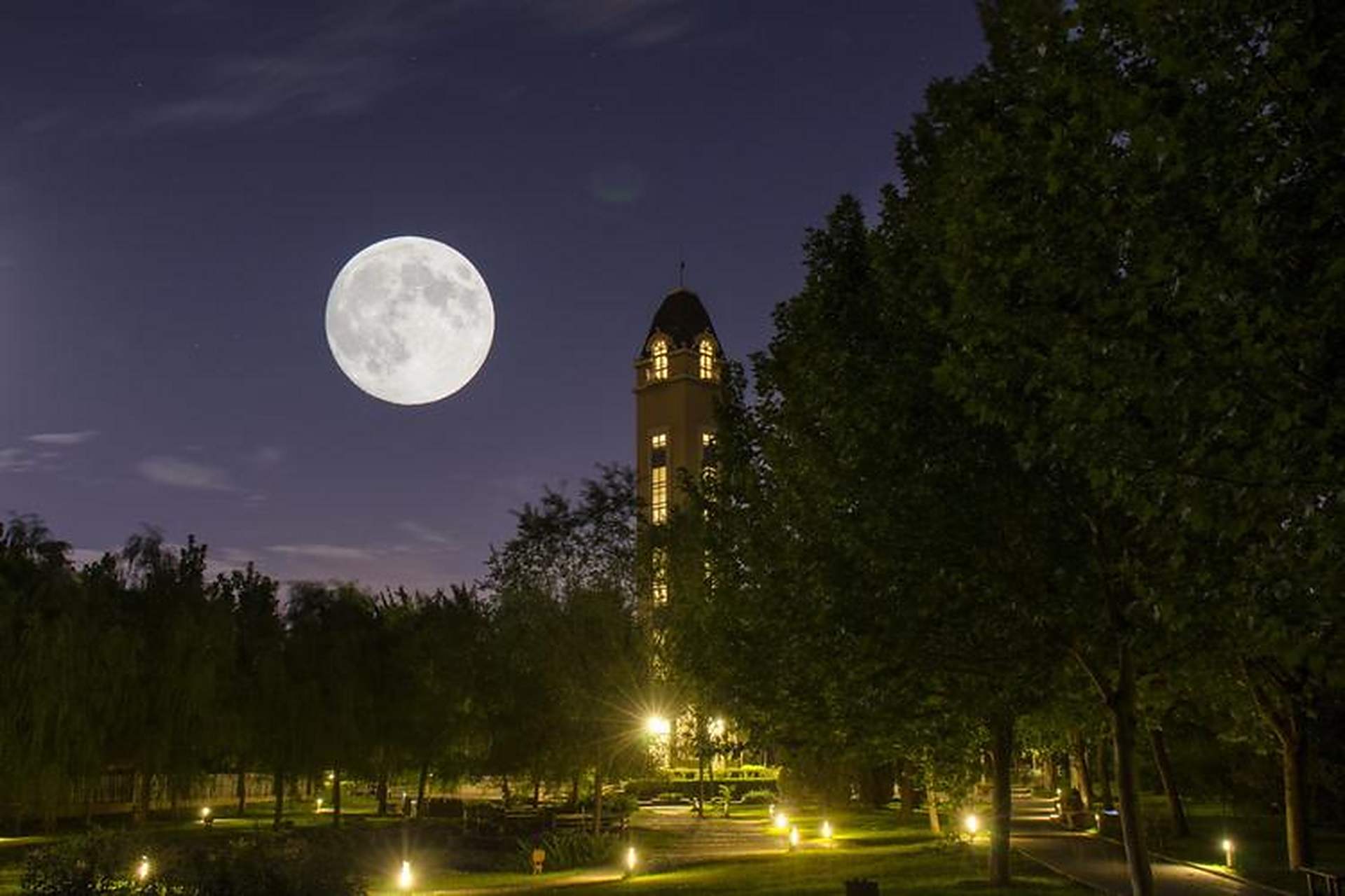 中元节的月亮, 皎洁的光中带着忧伤. 蟾宫里, 常娥玉兔,桂花树.