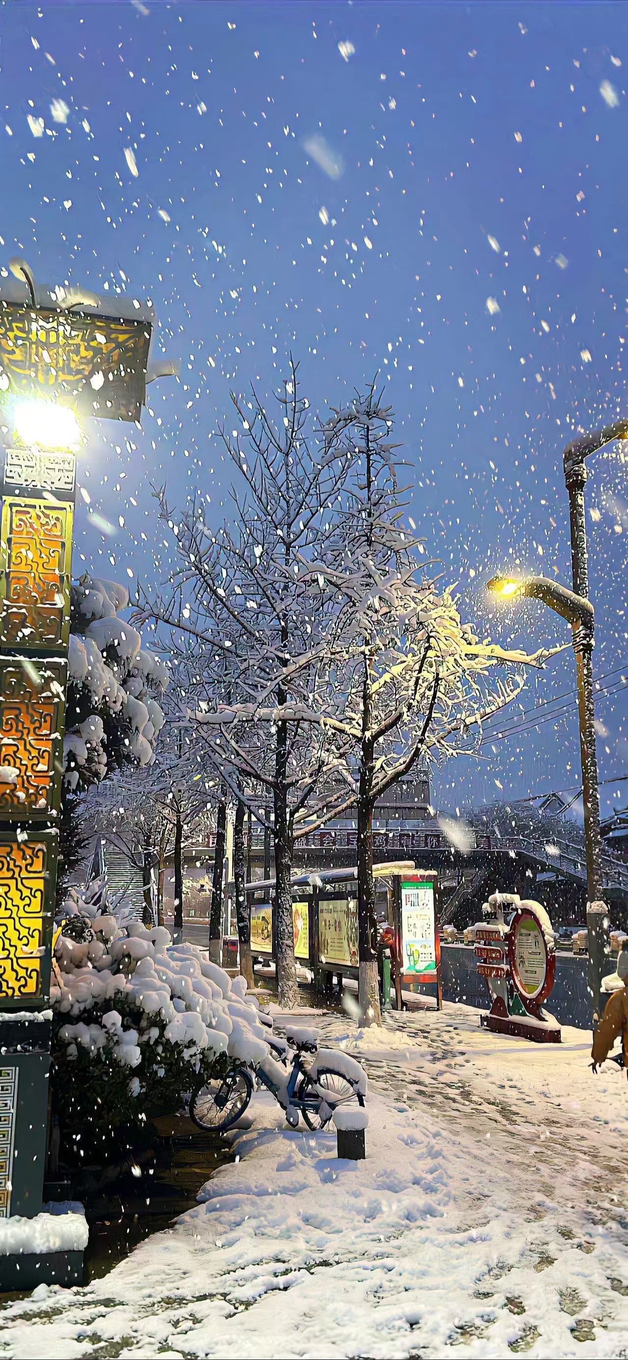 下雪夜景 大街图片