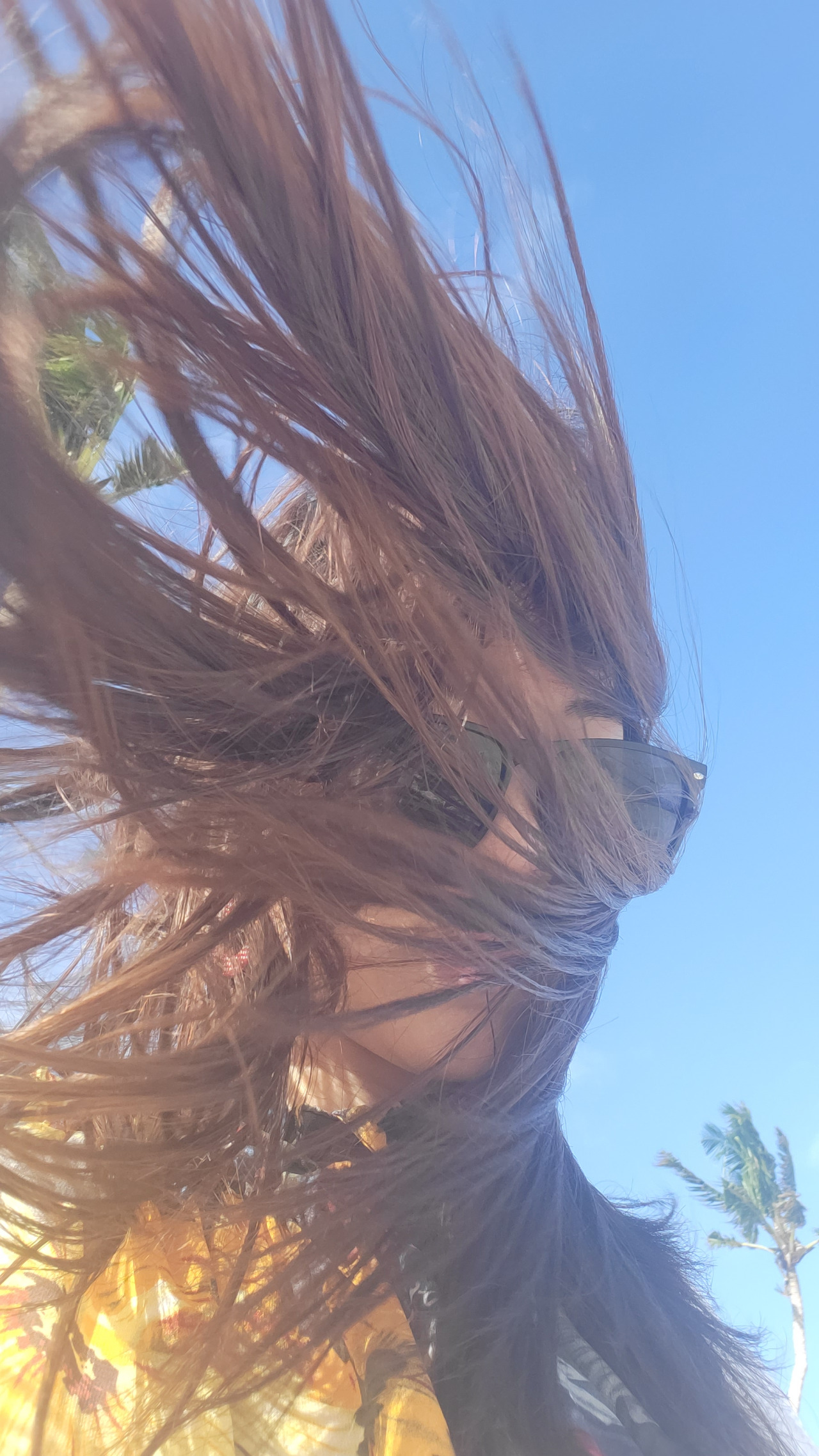 风吹呀吹呀我的骄傲放纵!