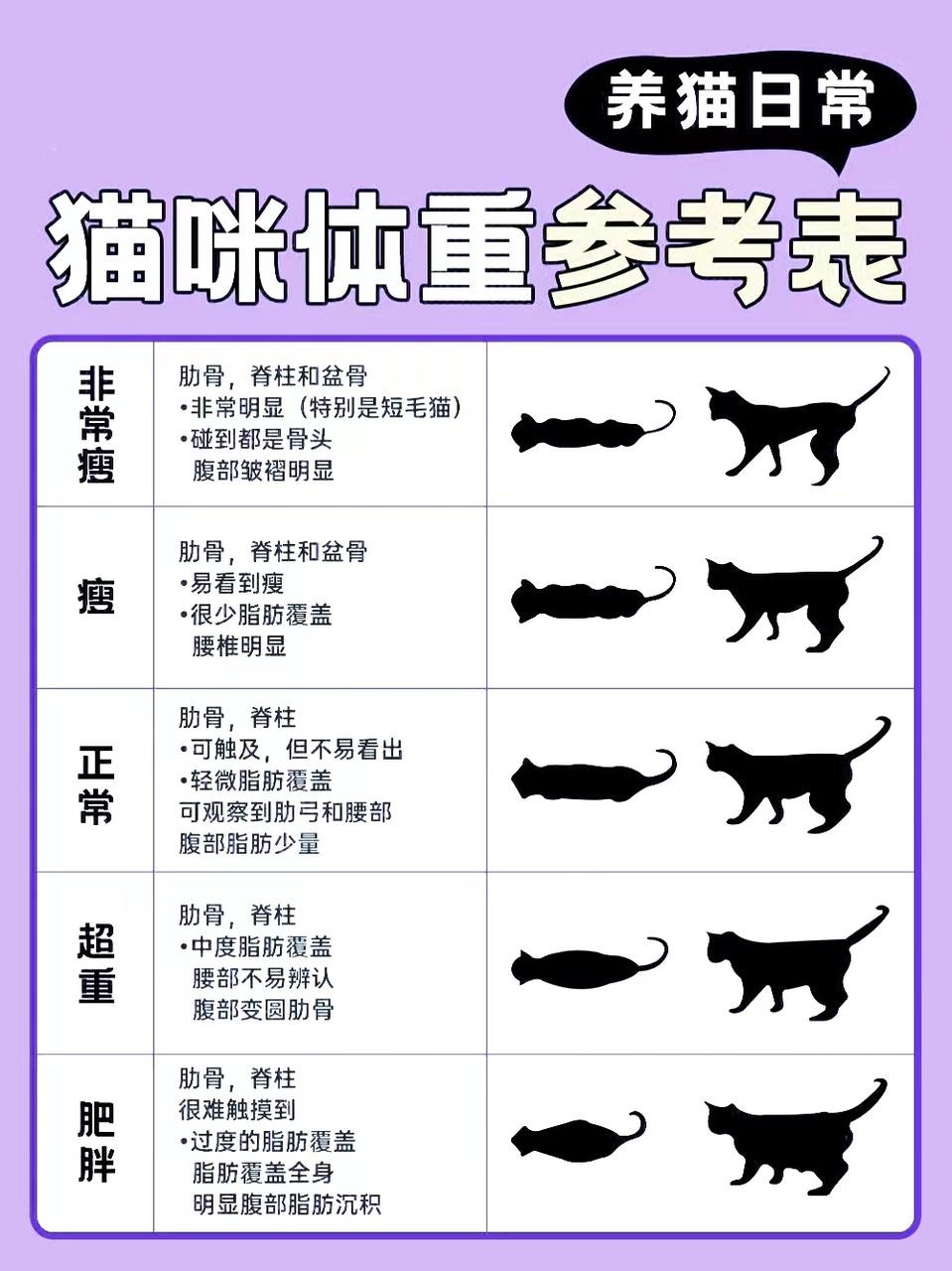 公主抱体重对照表图片