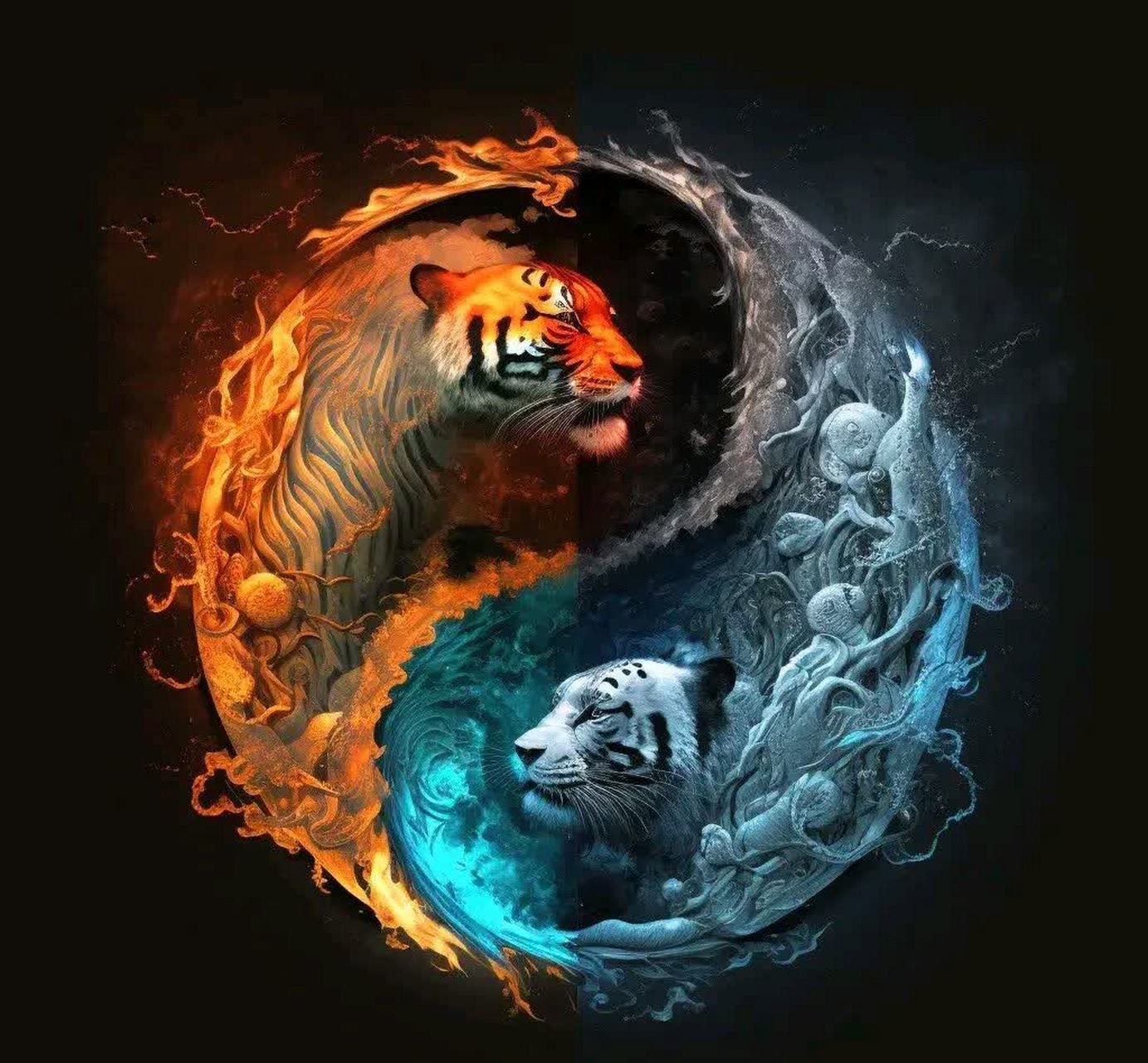 物有阴阳正反,事有黑白满缺;阴阳相生相克,黑白并未限界.