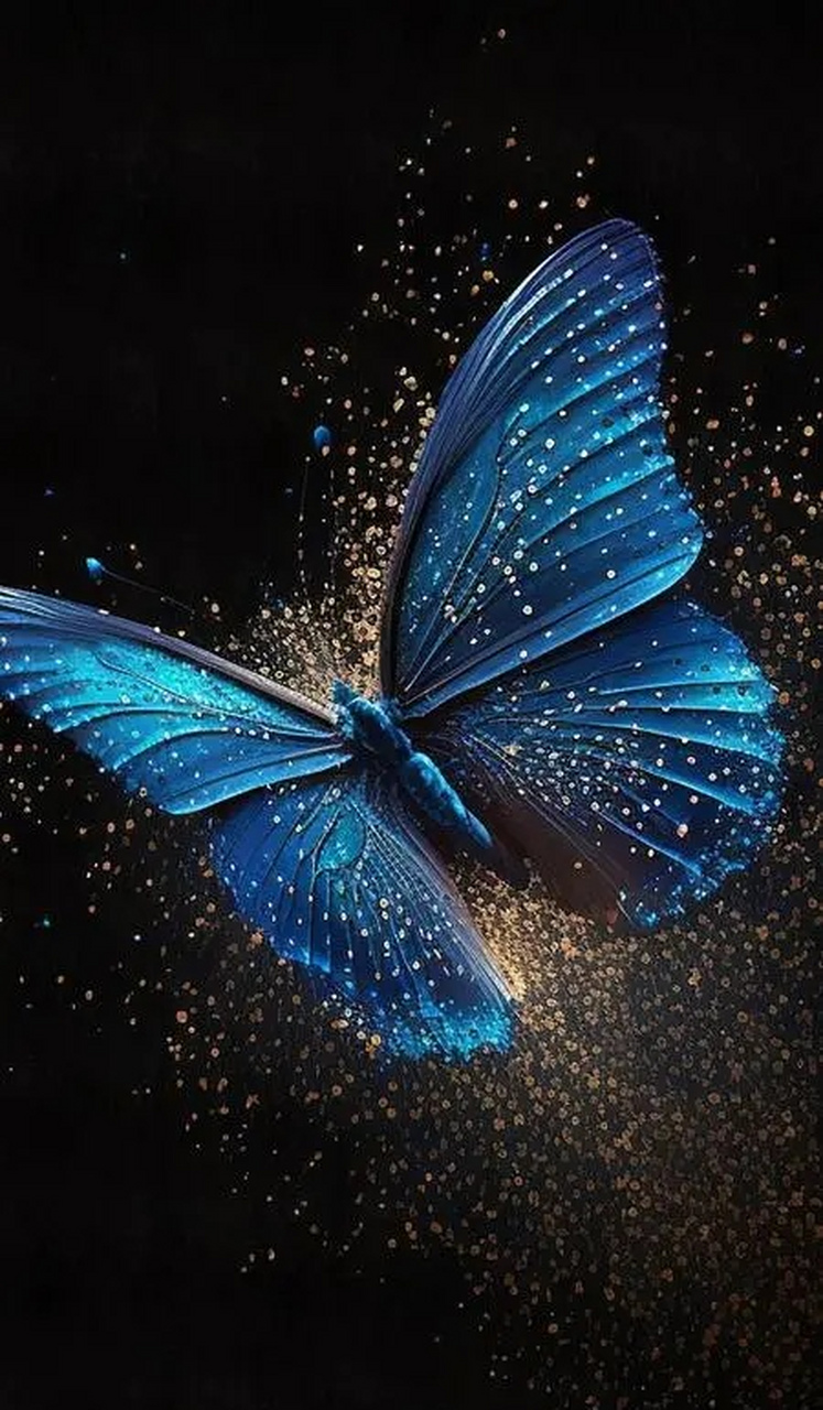 极美之梦幻蝴蝶系列之四