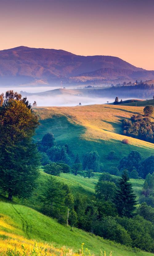 当我第一次看到这幅景色时,我被它的美丽深深吸引住了.