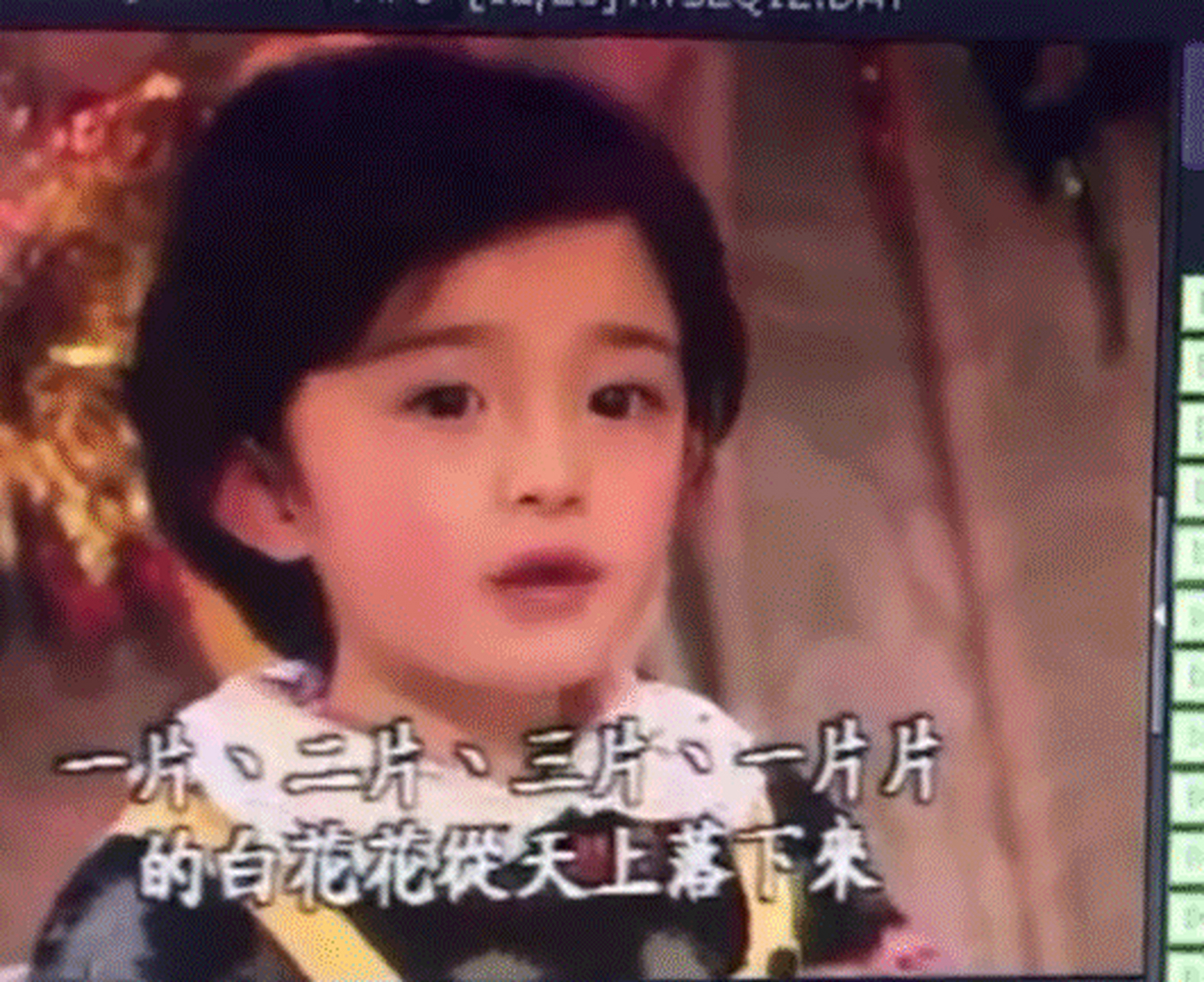 幼崽时期的杨幂也太可爱了吧,好奶好想rua#娱情早知晓