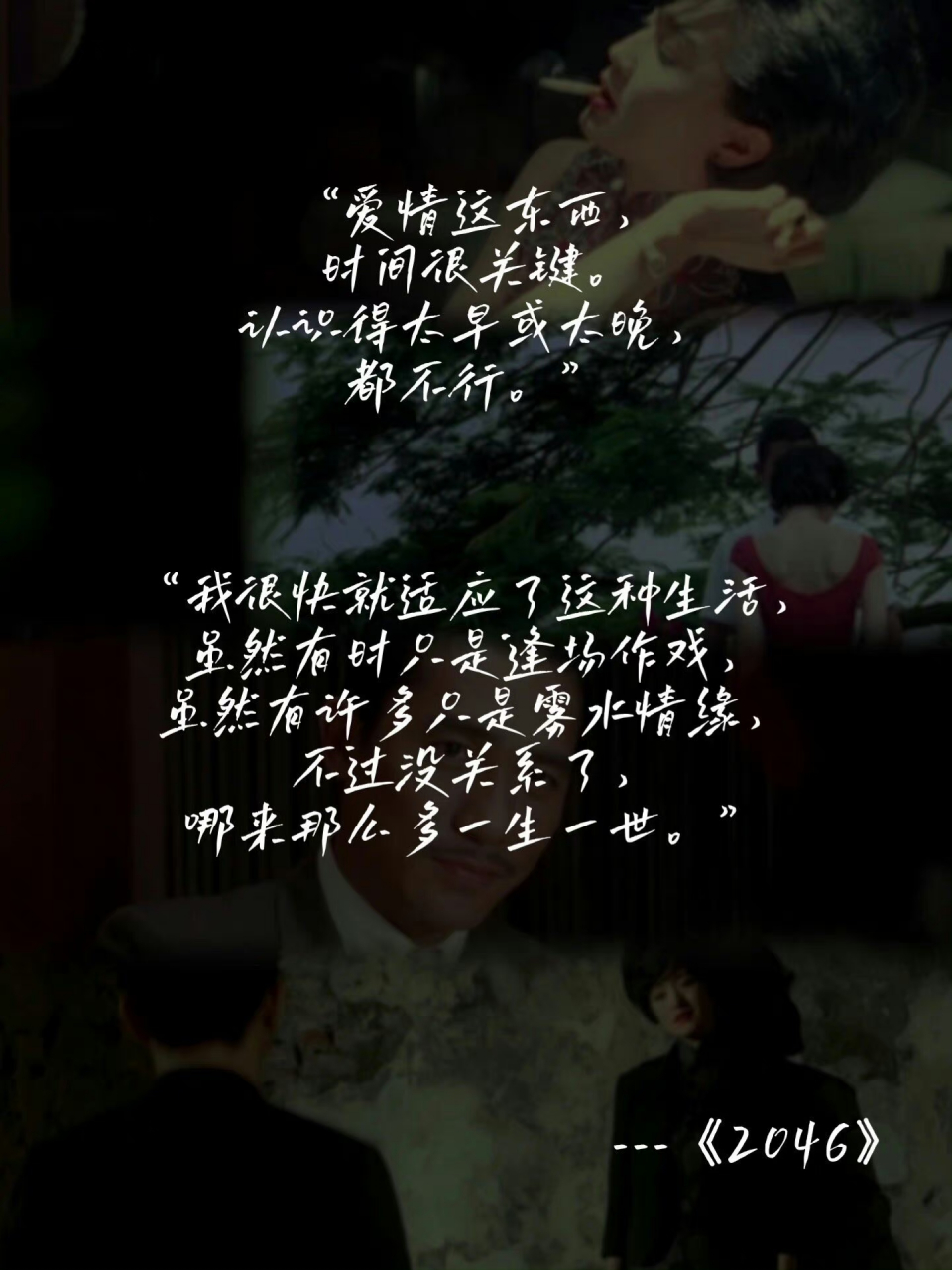 王家卫电影里的浪漫情话,你听过几句?