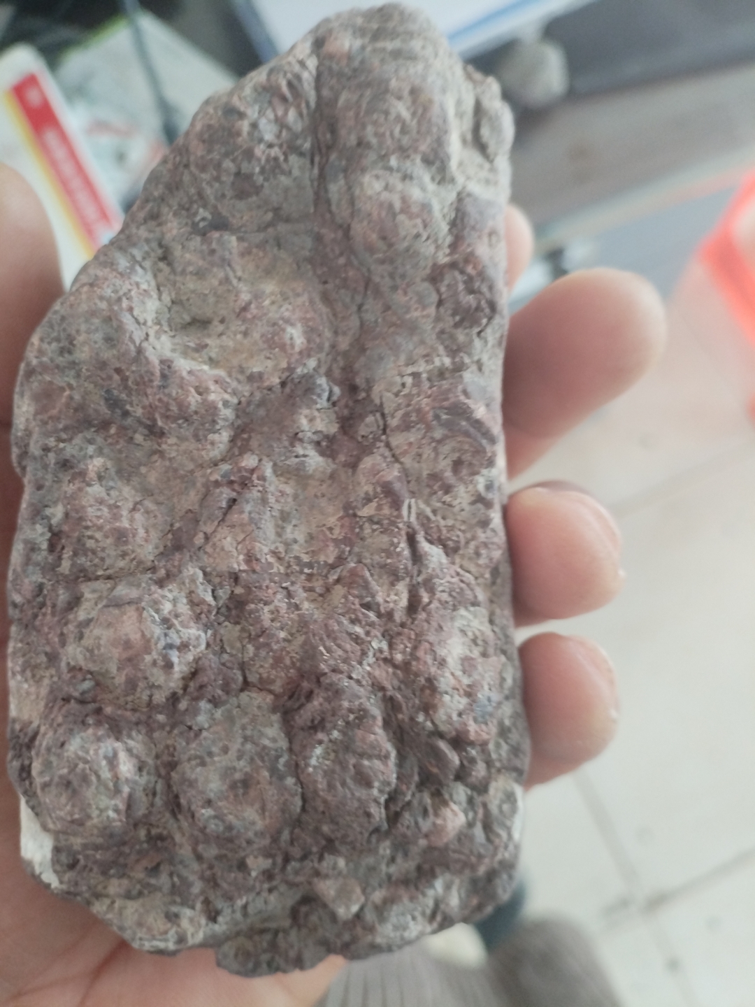 一块满身全是石英的角砾,重2.1斤,微磁,密度4.8,硬度6