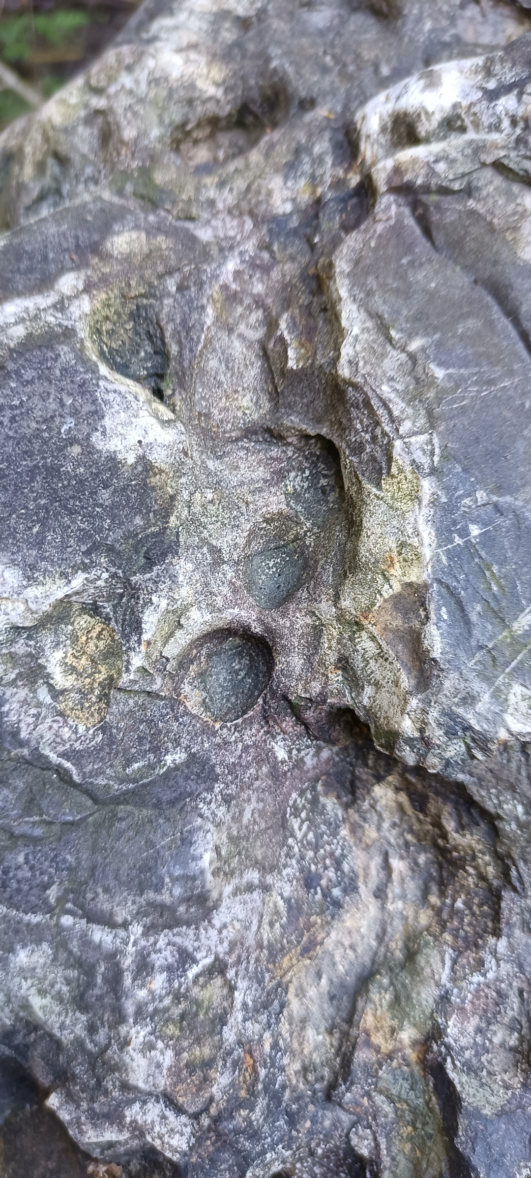 问一下老师们这个可是陨石的熔坑