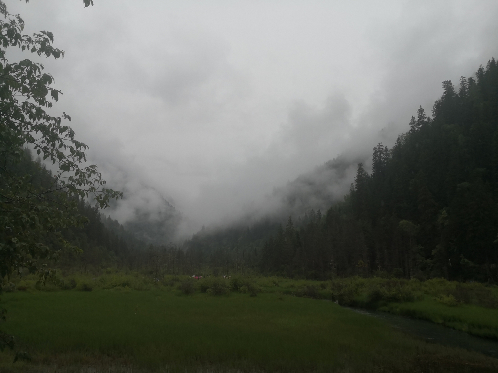 九寨,实是欲界之仙都,自康乐以来,未复有能与其奇者.